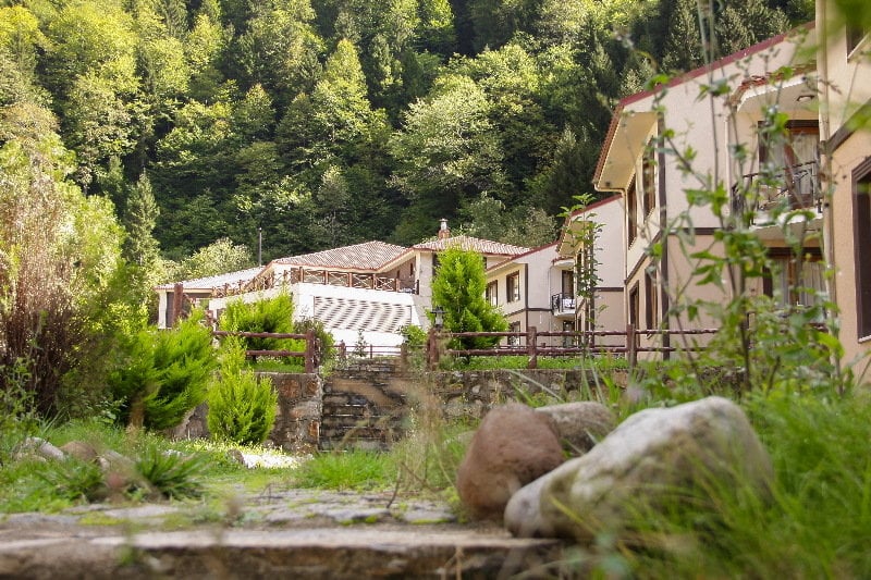 Ridos Thermal Hotel & Spa  | Rize | Rize | Turkey 15