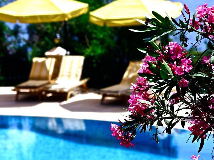 Hotel Villa Tamara  | Kas | Antalya | Turkey 7