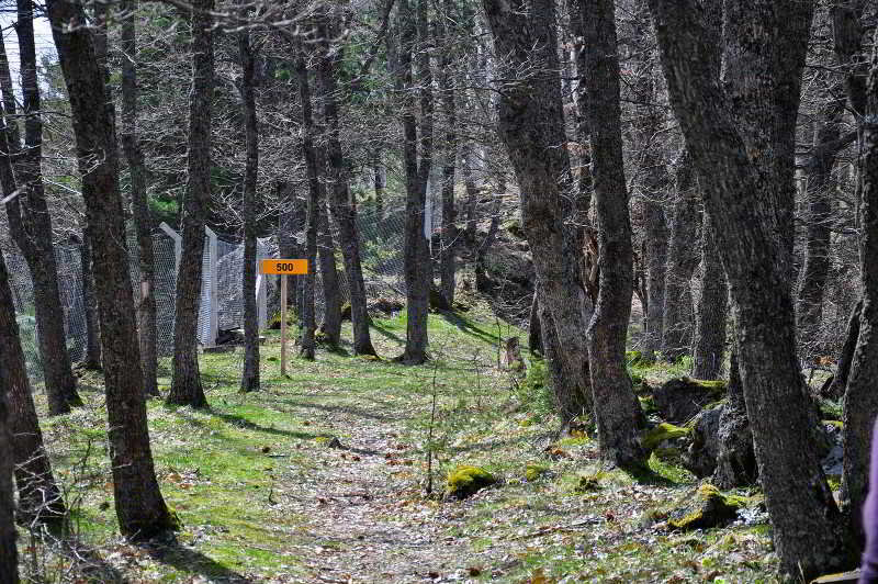 Hotel Gazelle Resort  | Abant | Bolu | Turkey 6