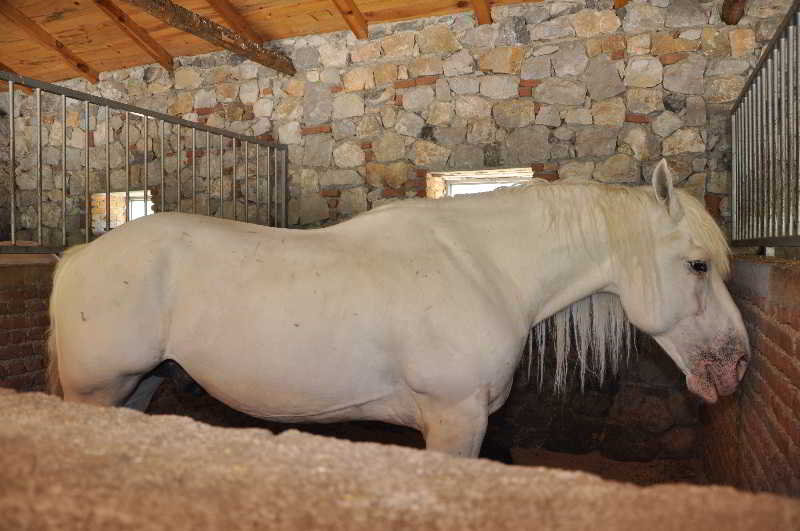 Akkaya Garden Apartment Dalyan