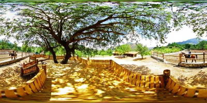 Akkaya Garden Apartment  | Dalyan | Mugla | Turkey 13