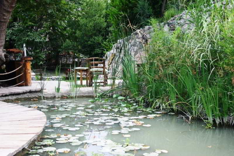 Akkaya Garden Apartment  | Dalyan | Mugla | Turkey 16