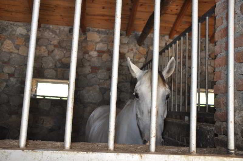 Akkaya Garden Apartment  | Dalyan | Mugla | Turkey 18