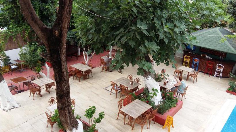 Hotel Kaliptus  | Kemer | Antalya | Turkey 1