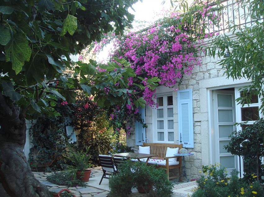 Hotel Incirliev  | Alacati | Izmir | Turkey 10