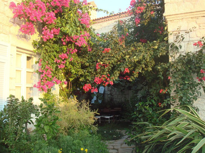 Hotel Incirliev  | Alacati | Izmir | Turkey 6