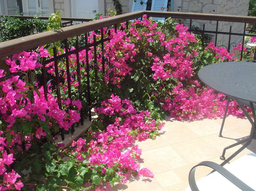 Hotel Incirliev  | Alacati | Izmir | Turkey 8