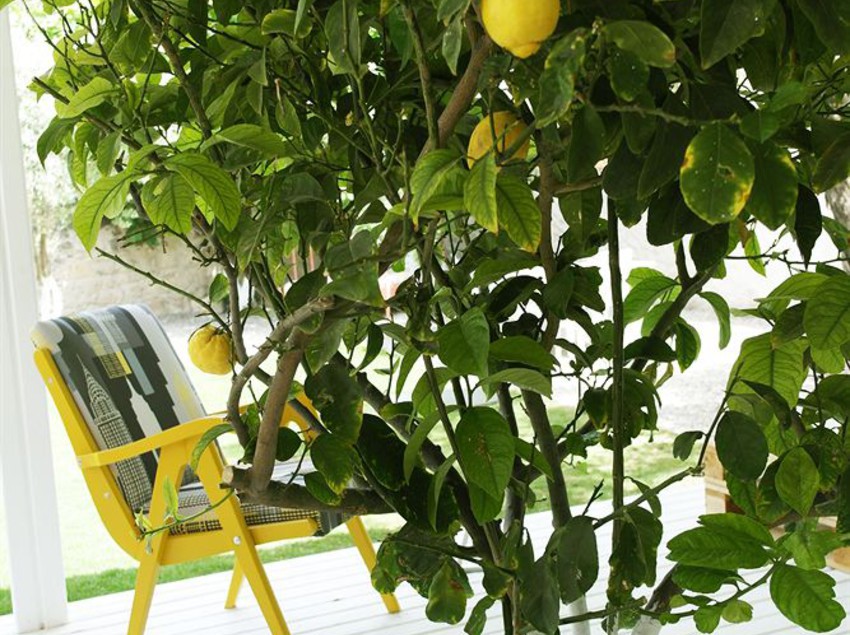 Hotel Vintage  | Alacati | Izmir | Turkey 4