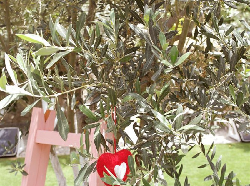 Hotel Vintage  | Alacati | Izmir | Turkey 5