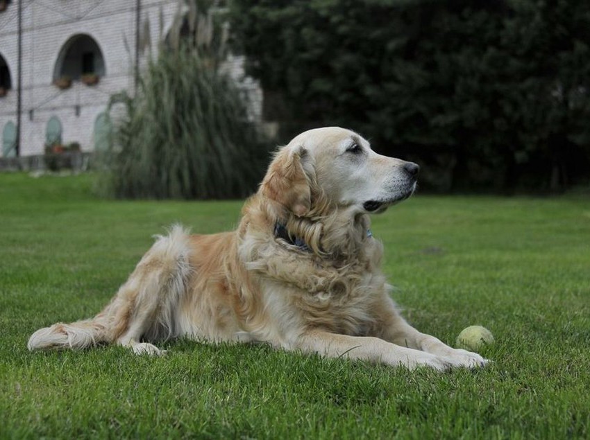 Pensión Agva Greenline Guesthouse Estambul