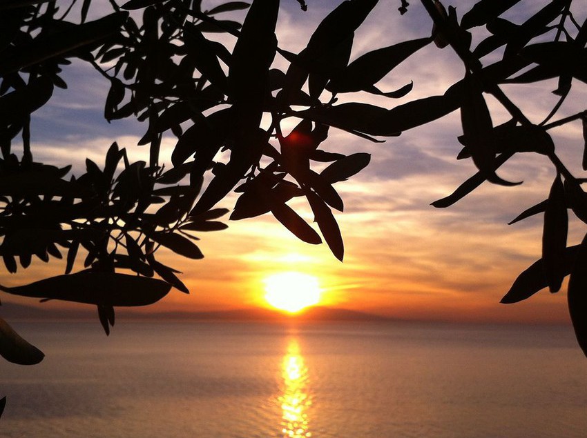 Hotel Atamer  | Gemlik | Bursa | Turkey 19