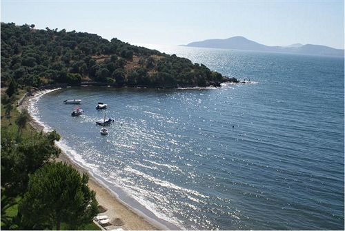 Hotel Med-inn Boutique  | Gulluk | Mugla | Turkey 16