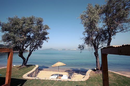 Hotel Med-inn Boutique  | Gulluk | Mugla | Turkey 20