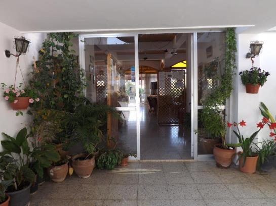 Paradise Bungalows  | Kyrenia | Kyrenia | Cyprus 9