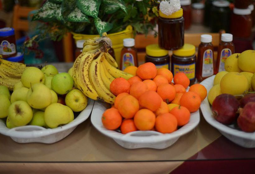 Hotel Elyssia  | Pedoulas | Nicosia | Cyprus 16