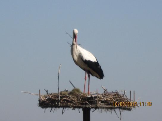 Hotel Nazhan  | Selcuk | Izmir | Turkey 10