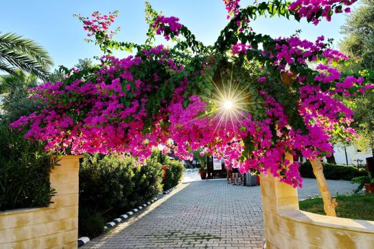 Hotel Ship Inn  | Kyrenia | Kyrenia | Cyprus 12