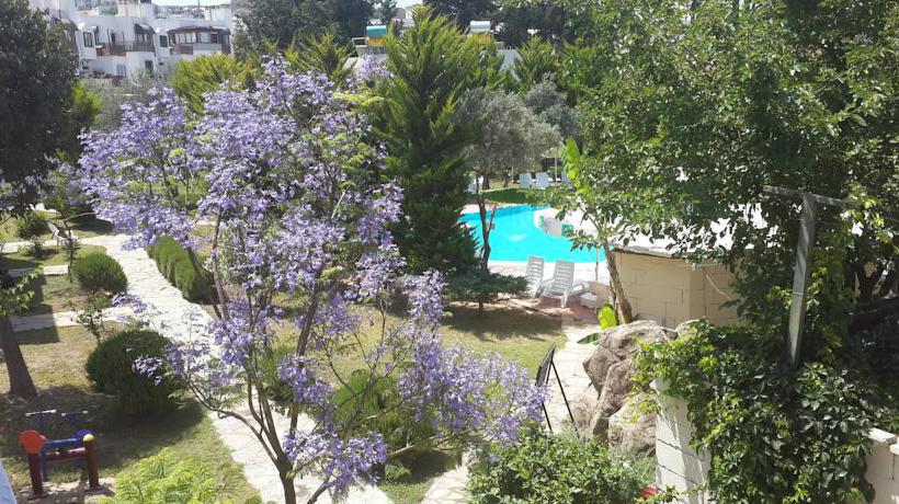 Hotel Mandarin Garden Apartments  | Bitez | Mugla | Turkey 17