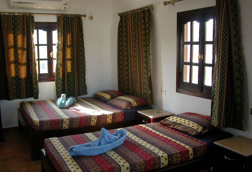 Hotel Dahab Divers Lodge  | Dahab | Egypt | Middle East - North Africa 9