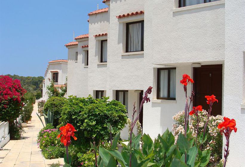 Bougainvillea  | Polis | Paphos | Cyprus 1