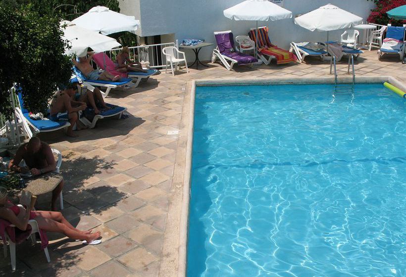 Bougainvillea  | Polis | Paphos | Cyprus 11