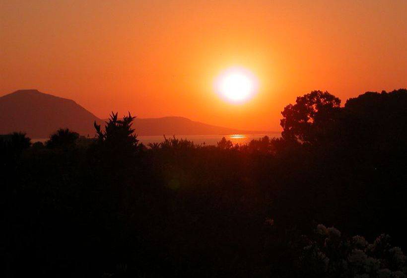 Bougainvillea  | Polis | Paphos | Cyprus 13