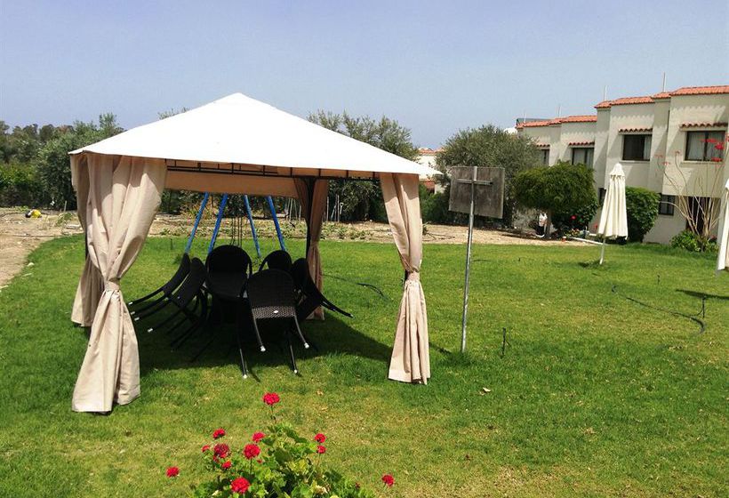 Bougainvillea  | Polis | Paphos | Cyprus 2