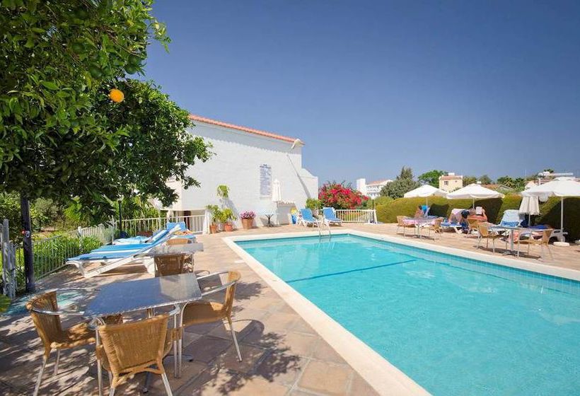 Bougainvillea  | Polis | Paphos | Cyprus 20