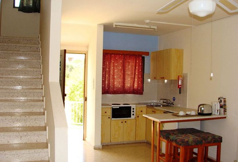 Bougainvillea  | Polis | Paphos | Cyprus 7