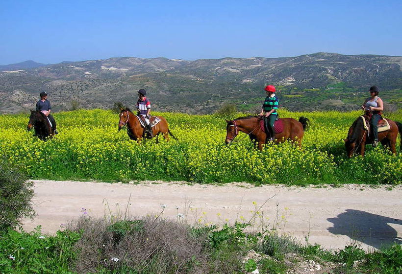Vasilikos House  | Tochni | Larnaca | Cyprus 18