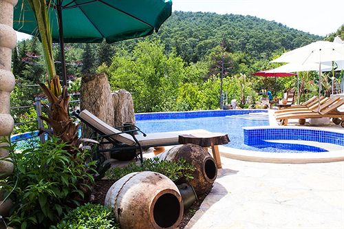 Hotel Pitahaya Home  | Bodrum | Mugla | Turkey 13