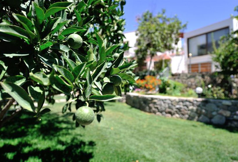 Hotel Pitahaya Home  | Bodrum | Mugla | Turkey 6