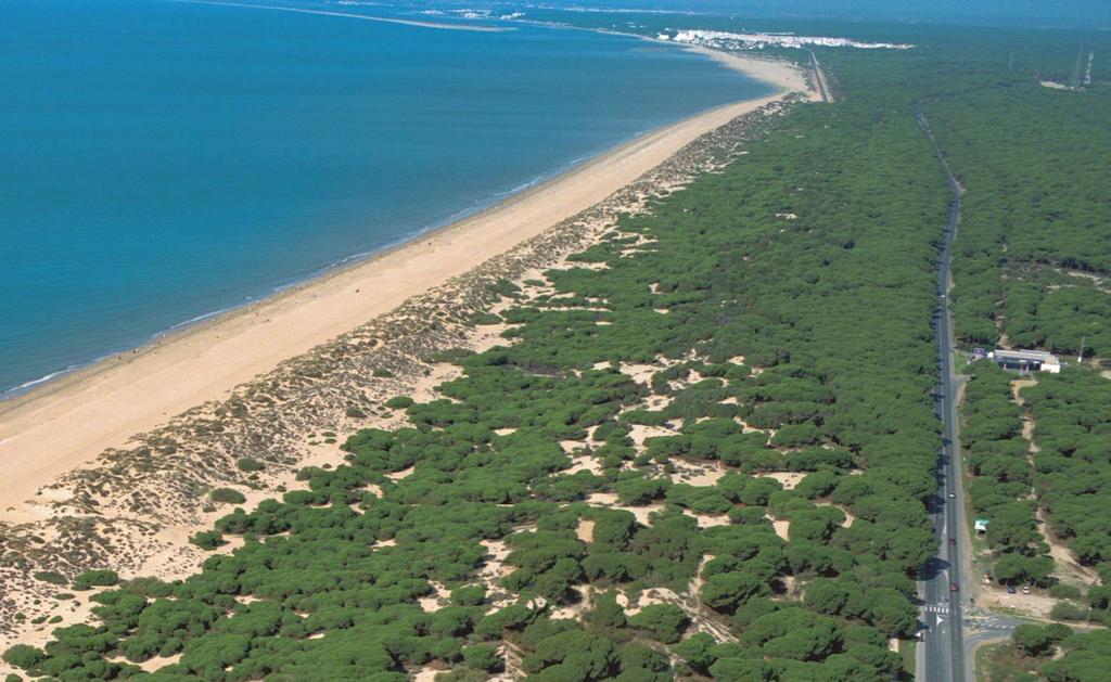 Apartamentos Leo Punta Umbria | Punta Umbría | Huelva | España 13