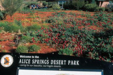 Mercure Alice Springs Resort | Alice Springs | Northern Territory | Australia 14