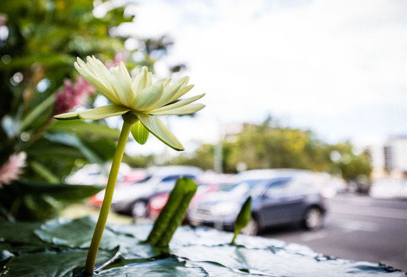 Cascade Gardens | Cairns | Queensland | Australia 4