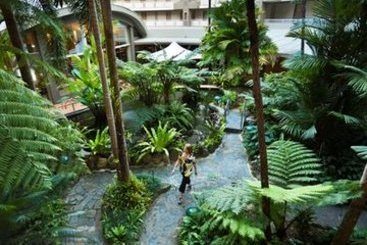 Doubletree By Hilton Hotel Cairns | Cairns | Queensland | Australia 4