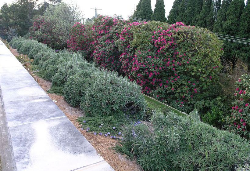 Motel Silvermere | Wentworth Falls | New South Wales | Australia 2