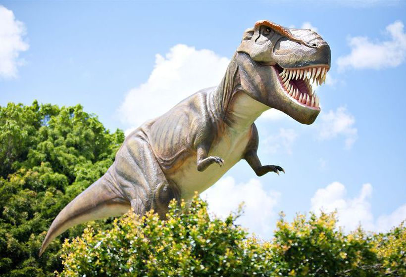 Hotel Palmer Coolum Resort | Coolum Beach | Queensland | Australia 18