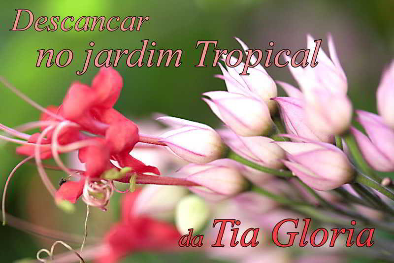 Hotel Pousada Tia Glória  | Morro de são Paulo | Bahia | Brasil 20