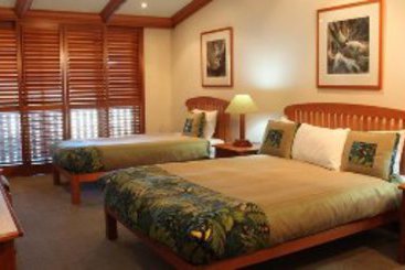 Hotel O'Reilly's Rainforest Retreat | Lamington National Park | Queensland | Australia 16