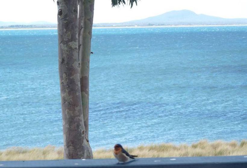 Hotel Swan Motor Inn | Swansea | Tasmanien | Australien 12