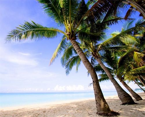 Hotel Village Paraiso Tropical  | Morro de são Paulo | Bahia | Brasil 15