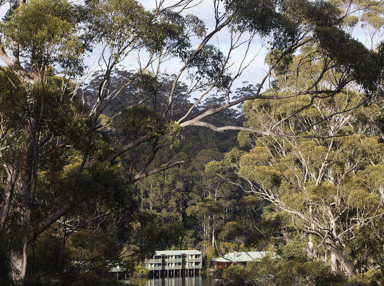 Karri Valley Resort | Pemberton | Western Australia | Australia 13