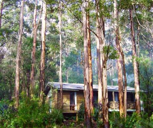 Karri Valley Resort | Pemberton | Western Australia | Australia 14