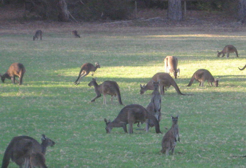 Karri Valley Resort | Pemberton | Western Australia | Australia 7