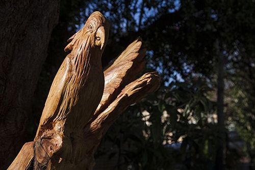 Hotel Flag Lodge | Rivervale | Western Australia | Australia 17