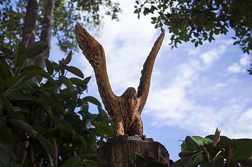 Hotel Flag Lodge | Rivervale | Western Australia | Australia 18