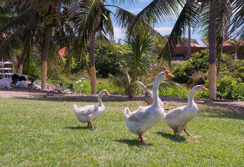 Hotel Coliseum  | Beberibe | Ceara | Brasil 3