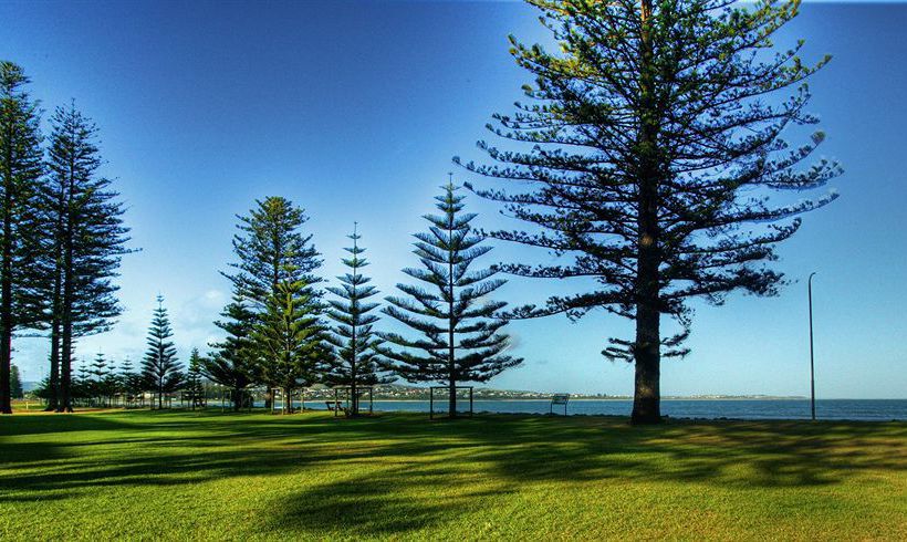 Hotel Comfort Inn Victor Harbor Victor Harbor