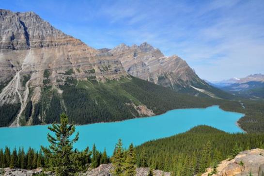 Hotel Best Western Siding 29 Lodge | Banff | Alberta | Canadá 11